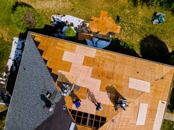 Best Local Roofing Companies  in Alvord, TX