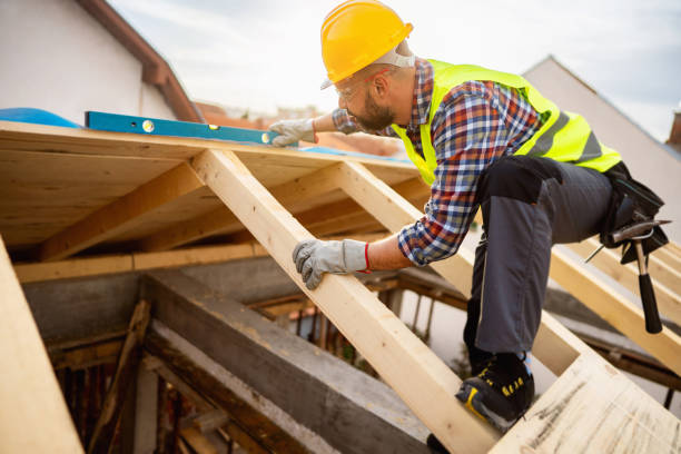 Best Roof Gutter Cleaning  in Alvord, TX